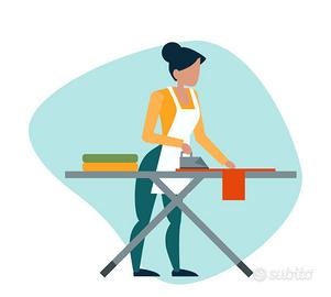 Stiratrice professionista