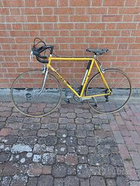 bici da corsa Rauler
