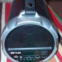 Amplificatore wireless 