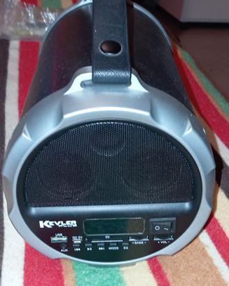 Amplificatore wireless 