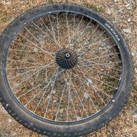 Ruota bici