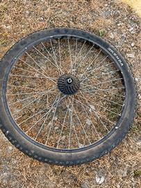 Ruota bici