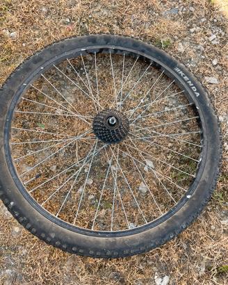 Ruota bici