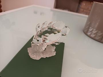 Pesce farfalla Swarovski raro