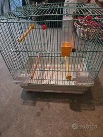 gabbia per ucellini