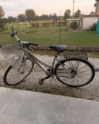 Bicicletta da donna- Con cestino e portapacchi