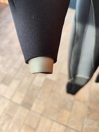 muta semistagna cressi