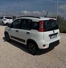 fiat-panda-in