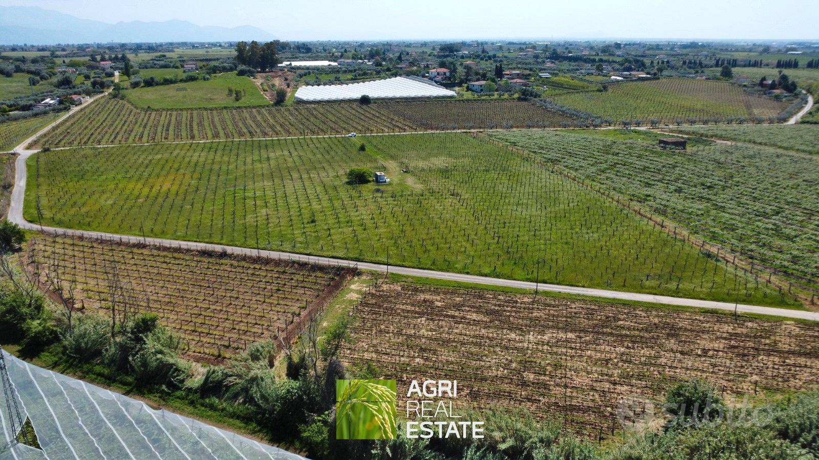 Vigneto di 3 ettari in zona DOC - Vista 3