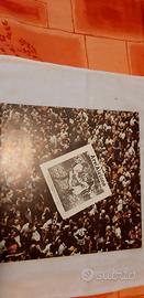 Lp AREA  Are(A)zione  CRSLP5104