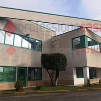 Negozio Frosinone [Cod. rif 3300376ACG]