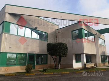 Negozio Frosinone [Cod. rif 3300376ACG]