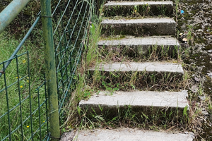 Terreno coltivabile 500 mq vicino a Lavagna (GE)