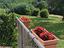 Immagine 11