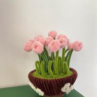 Vaso di tulip di scovolini