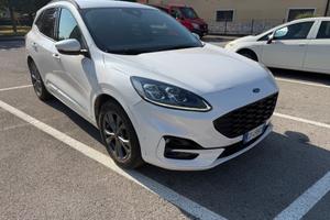 Ford Kuga 2.5 Plug In Hybrid 225 CV CVT 2WD ST-Lin