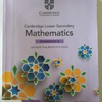 mathematics workbook 8