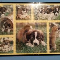 Quadro puzzle