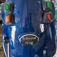 didiesse frog