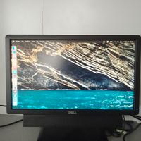 monitor dell 19"