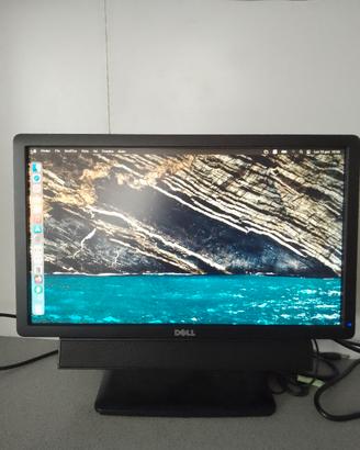 monitor dell 19"