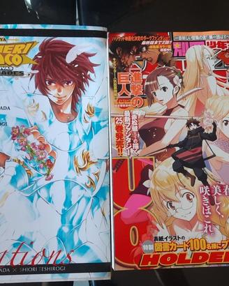 Manga-Riviste-Artbook- variant
