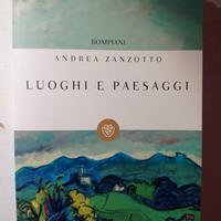 Luoghi e paesaggi-Andrea Zanzotto
