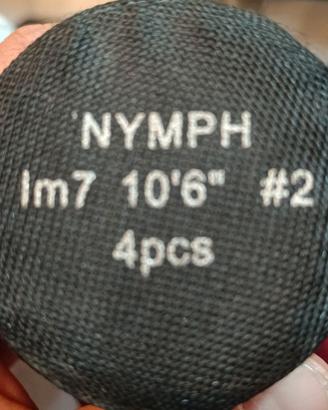 Canna da mosca (ninfa)