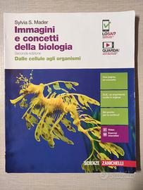 IMMAGINI E CONCETTI DELLA BIOLOGIA 9788808762146