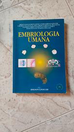 Embriologia umana idelson gnocchi