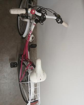 bicicletta