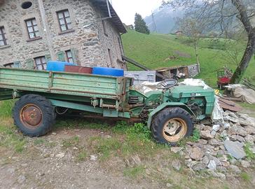 Trattore bertolini anno 82