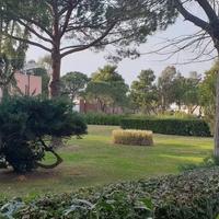 Bilocale a 300 m dal mare - Marina di Bibbona