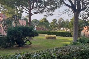 Bilocale a 300 m dal mare - Marina di Bibbona