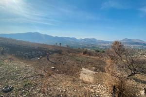 Terreno edificabile