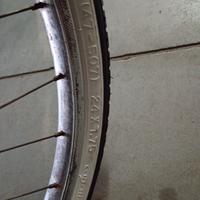 bicicletta grazziellone 