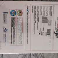 Libro " La Fisica Agile"