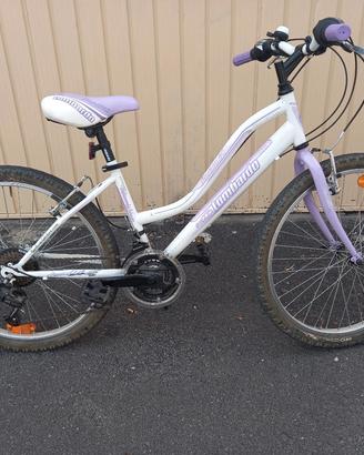 mtb bicicletta MTB
