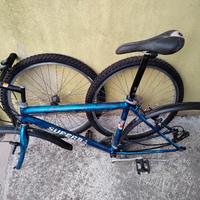 MTB superba