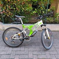 Bici Bicicletta