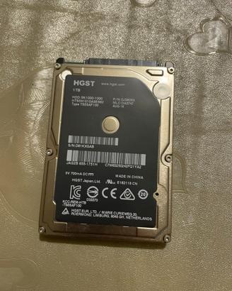Hard disk sata 2 da 1 terabyte