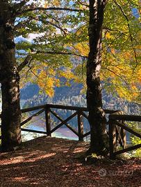 Settembre a Pieve di Cadore