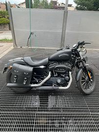 Sportster 883 Iron