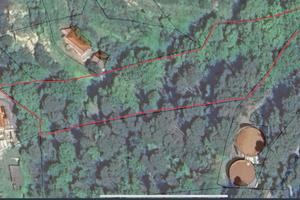 Vendita Bosco Edificabile Camporosso Mare (IM)