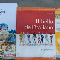 Libri scolastici