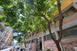 via Maggiore Toselli: bilocale 70 mq ristrutturato