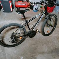 Bicicletta