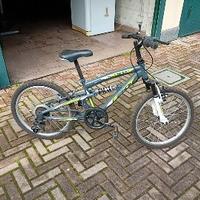 bici da 20 