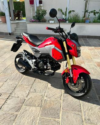 Honda msx 125