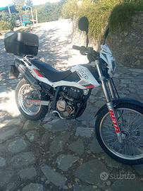Beta Alp 4.0